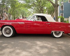 Car Show - Salem 2021