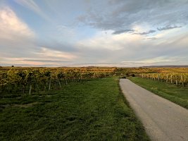 2017-10-22-IMG_20171012_175328