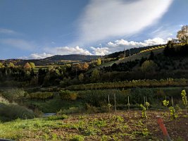 2017-10-22-IMG_20171013_161243