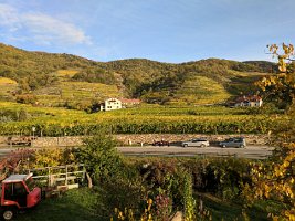 2017-10-22-IMG_20171014_082659