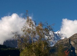 img_20151007_150510_21996216196_o