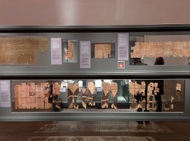 img_20151015_140818_21571538754_o