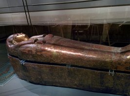 img_20151015_142227_21571550904_o