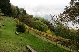 imgp0152_22281528505_o