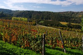 imgp0378_22255469386_o