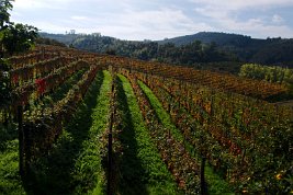 imgp0386_22093454050_o