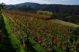 imgp0387_21658763504_o