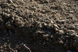 imgp0456_22093743108_o