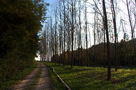 imgp0459_22094643129_o