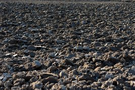 imgp0464_22093735678_o