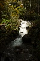 imgp9356_22268578542_o