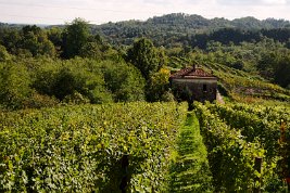 imgp9408_22093693248_o