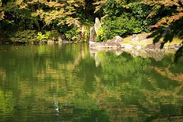 2011-11-14T15_11_47_1