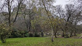 PXL_20251118_141039026