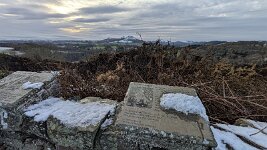 PXL_20251121_151235527