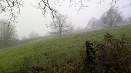 PXL_20251122_112117056