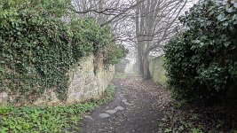 PXL_20251122_112331613