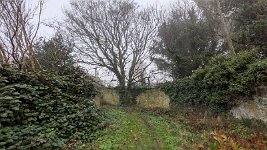 PXL_20251122_112537500