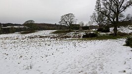 PXL_20251124_115508221