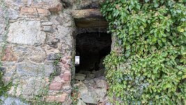 PXL_20251124_121202578