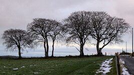 PXL_20251124_153622012