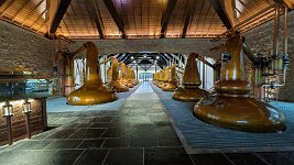 PXL_20251126_141045985