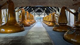 PXL_20251126_141047729