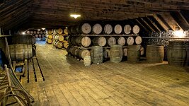 PXL_20251126_142826886.NIGHT