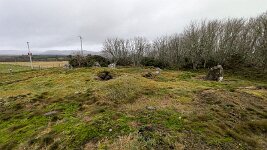 PXL_20251127_125443525