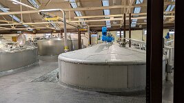 PXL_20251127_150339795