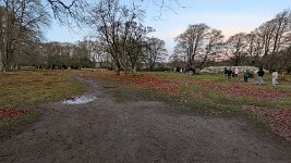 PXL_20251128_084038249