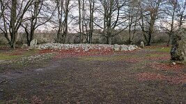 PXL_20251128_084231818