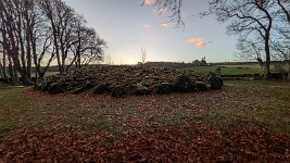 PXL_20251128_084415074