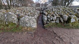 PXL_20251128_084548453