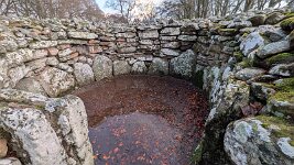 PXL_20251128_084611467