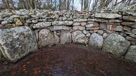 PXL_20251128_084649205