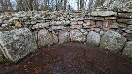 PXL_20251128_084650979