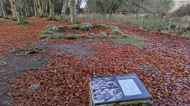 PXL_20251128_085026796