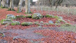 PXL_20251128_085029173