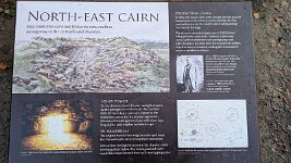 PXL_20251128_085414532