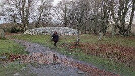 PXL_20251128_085832598