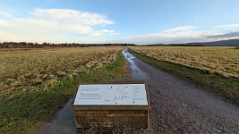 PXL_20251128_100959164