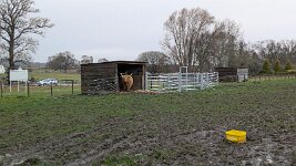 PXL_20251128_120704019