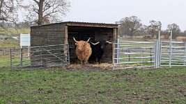 PXL_20251128_120807536