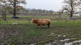 PXL_20251128_121009742