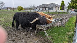 PXL_20251128_121053519