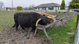 PXL_20251128_121055188