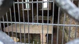 PXL_20251128_125355611