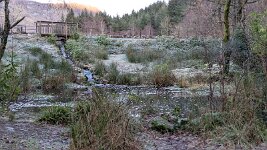 PXL_20251130_145016265