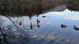 PXL_20251130_145358922